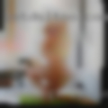 Naked girls Russellville